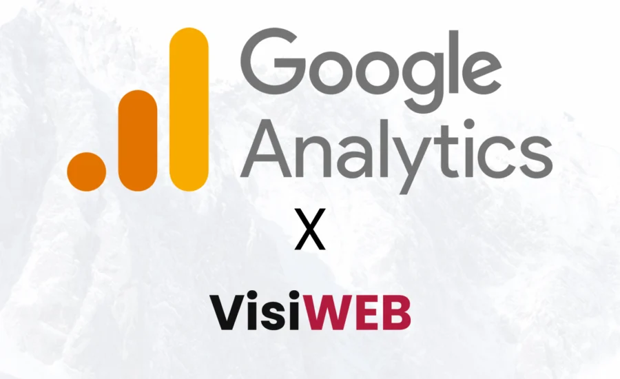 Google Analytics X Visiweb