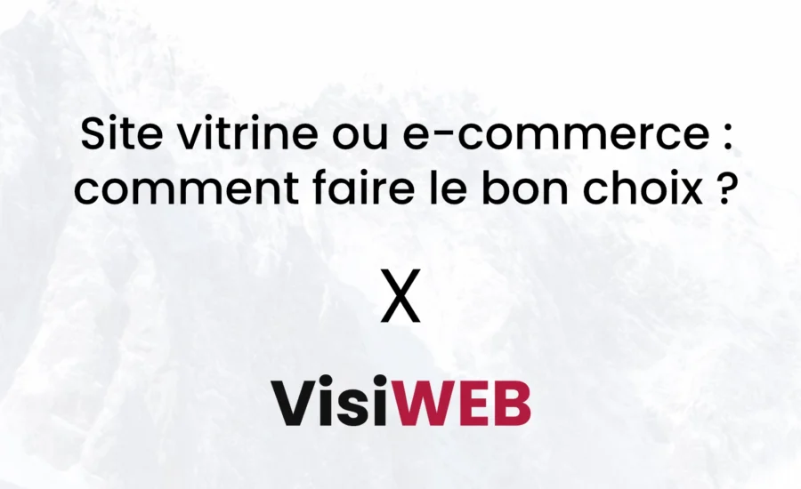 Site vitrine ou e-commerce : comment faire le bon choix ?